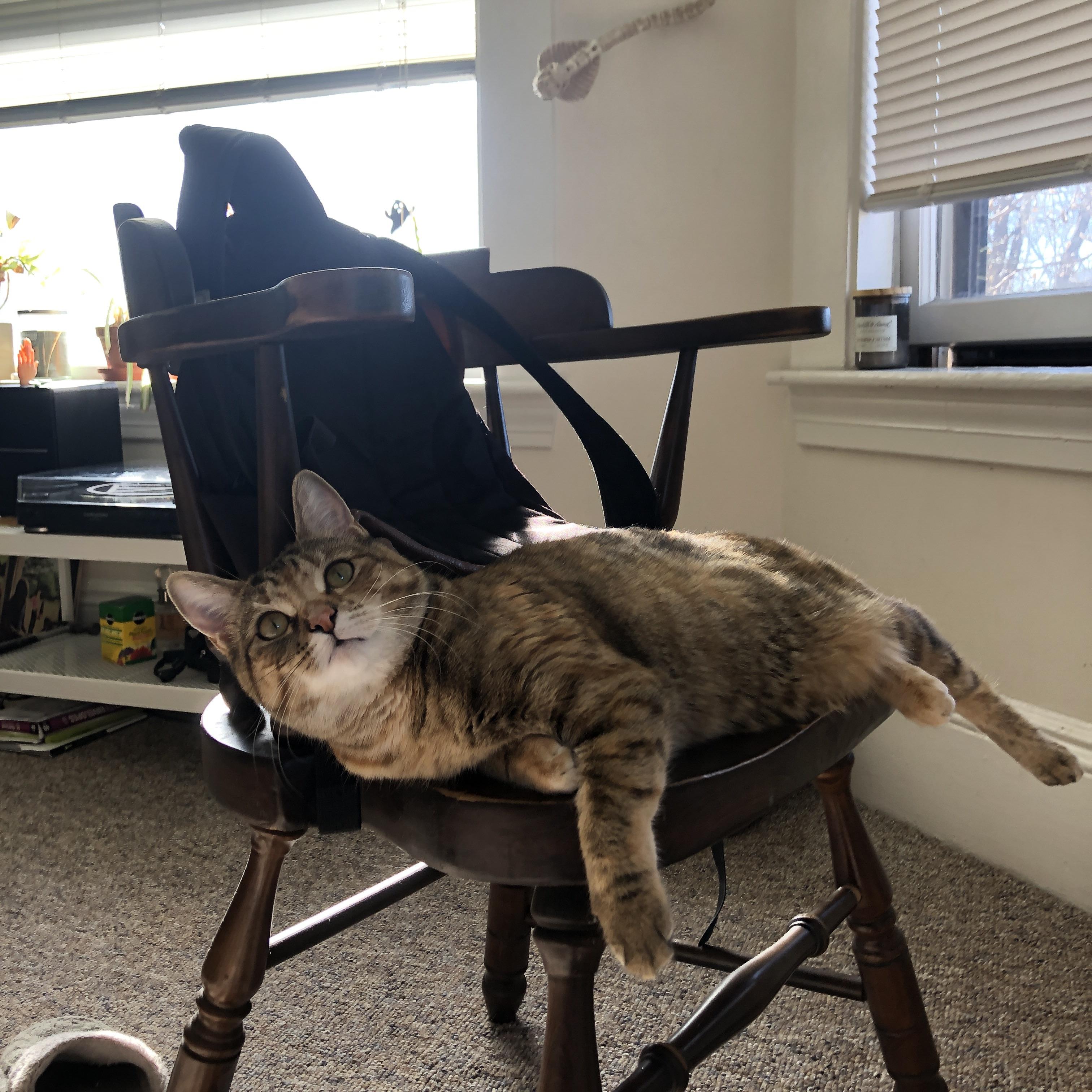 VALORANT 新版赛事体系上线，valorant国内战队一览表