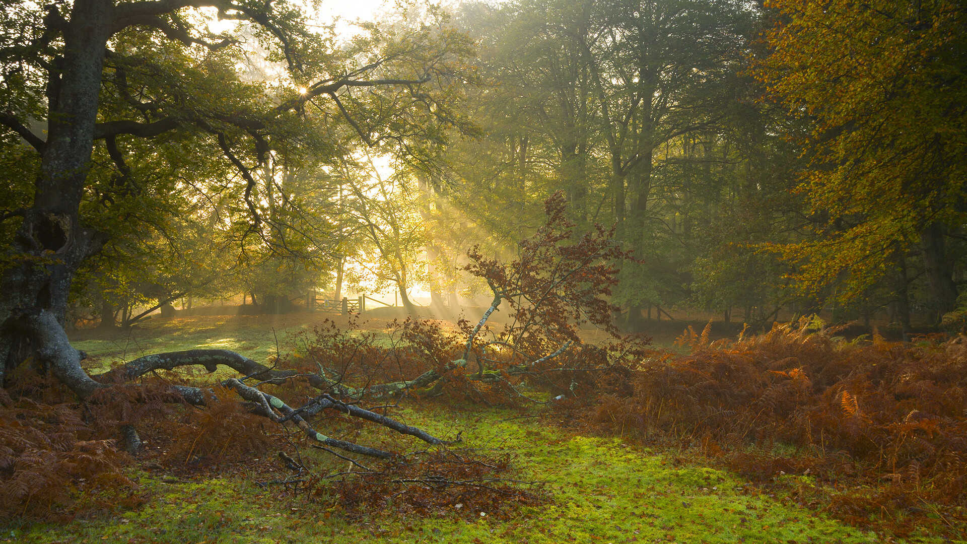 VALORANT 新赛季锦标赛火爆进行，valorant 2021